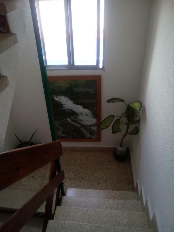 8 Calle Tangara La Gloria Санта-Крус-де-Тенерифе Экстерьер фото